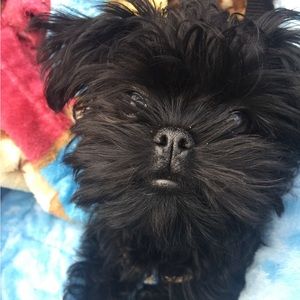 Meet your Posher, Ari